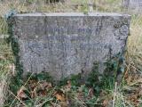 image of grave number 909293